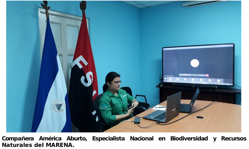 marena